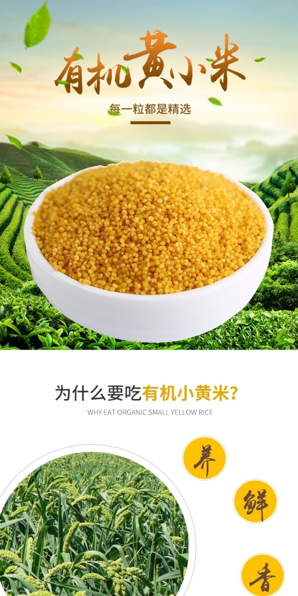 五谷杂粮小米绿色食品粗粮电商淘宝详情页描述模板PSD