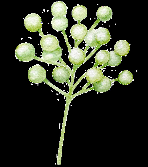 翠绿植物卡通透明素材