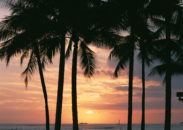 夕阳晚霞海岛风情旅游观光沙滩风情海边椰树海浪异国风情