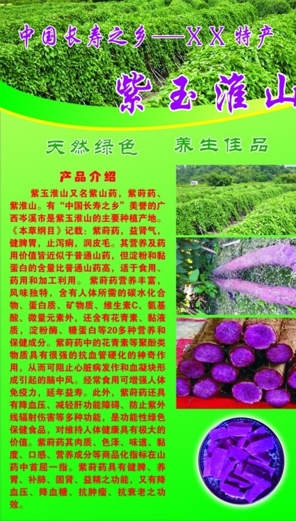 紫玉淮山图片