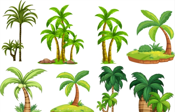 绿色椰子树设计矢量素材