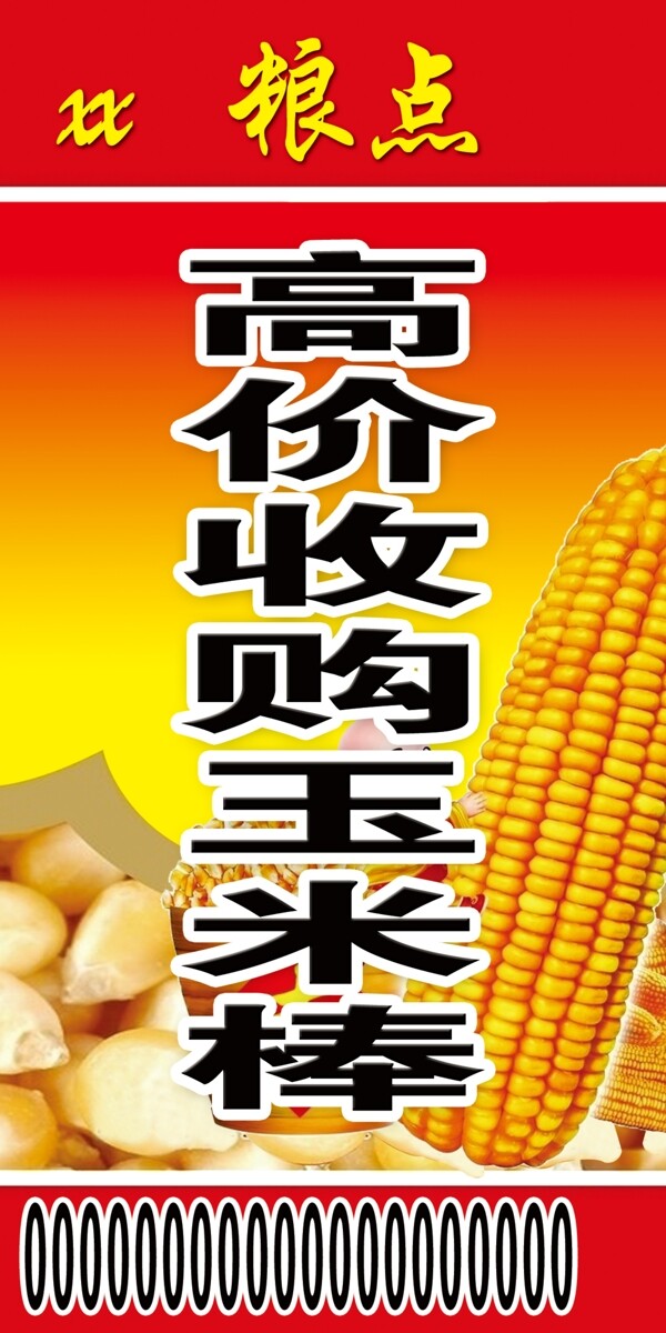 玉米展板图片