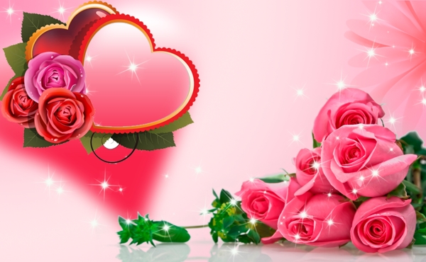 粉色浪漫玫瑰爱心唯美广告素材线条形状背景