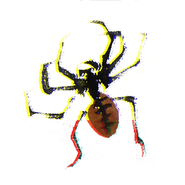 中国风水墨昆虫蜘蛛手绘插画