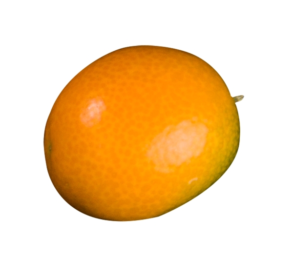 水果橙子免扣元素