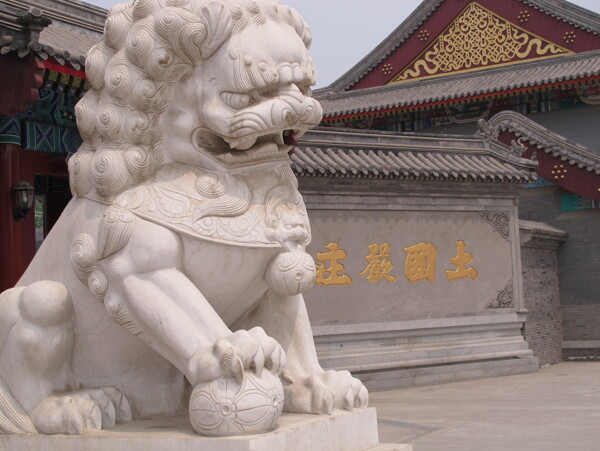 天津大悲院石狮图片