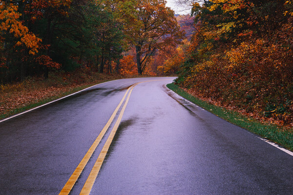 道路24图片