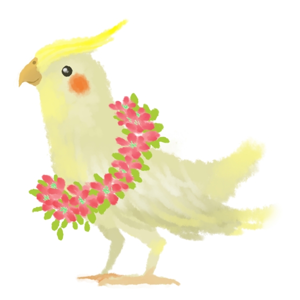 手绘水彩绘本黄鹦鹉