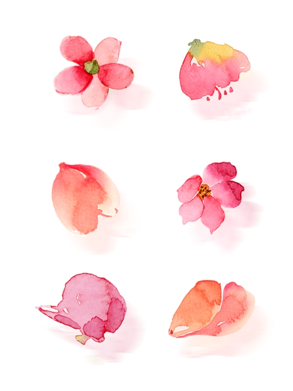 水彩手绘花花瓣元素套图