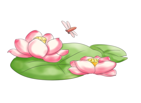 粉色荷花花朵插画