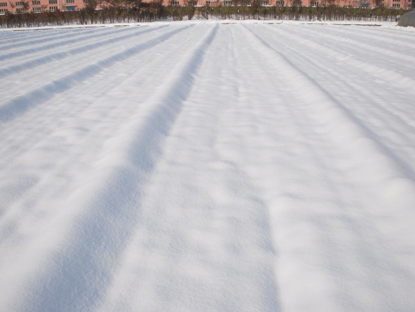 雪地图片