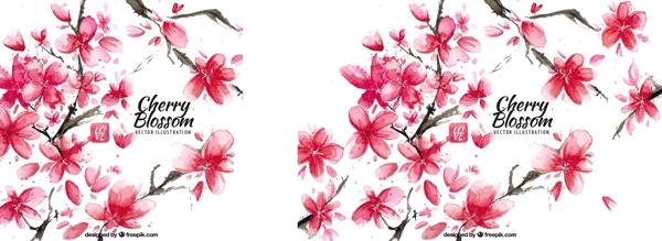 水彩画樱花的艺术背景