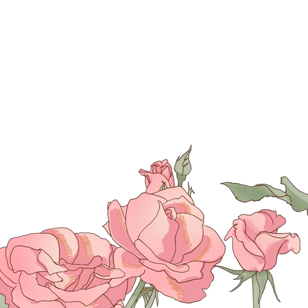 浪漫玫瑰花