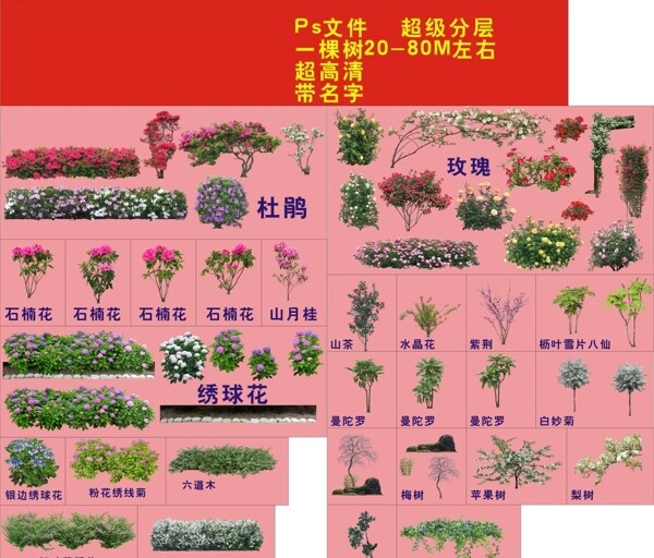 花草高清版