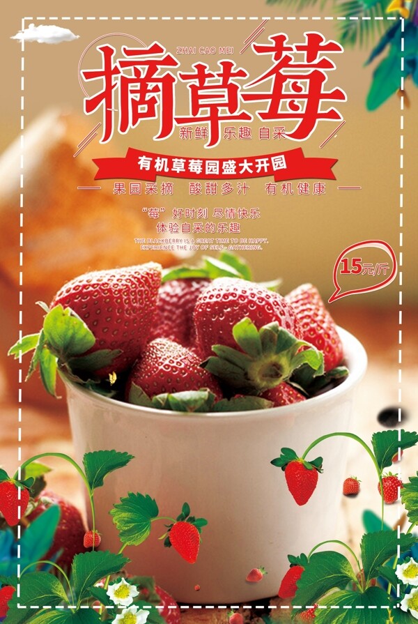 新鲜摘草莓去哪儿夏季旅游海报
