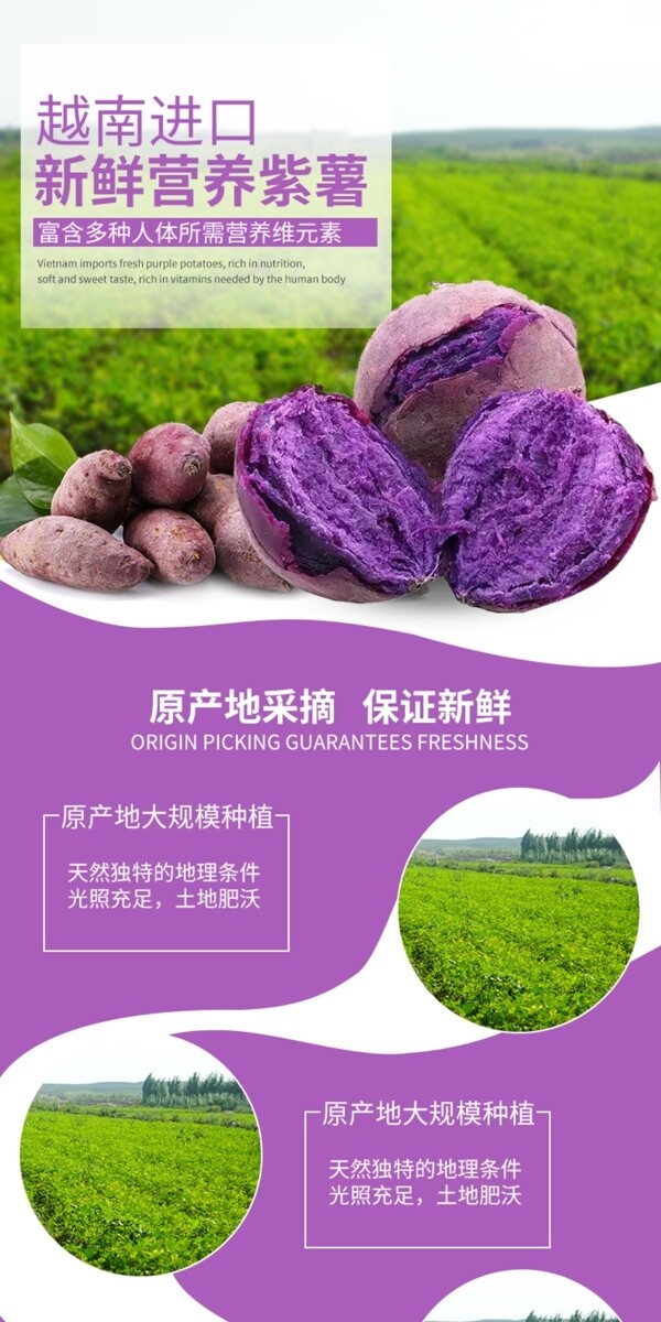 零食紫薯详情页模板