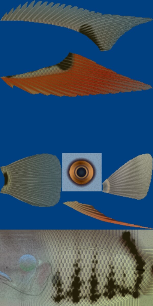 3D海洋鱼模型