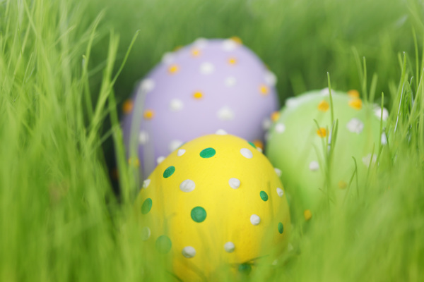 装饰复活节鸡蛋春天的草图片