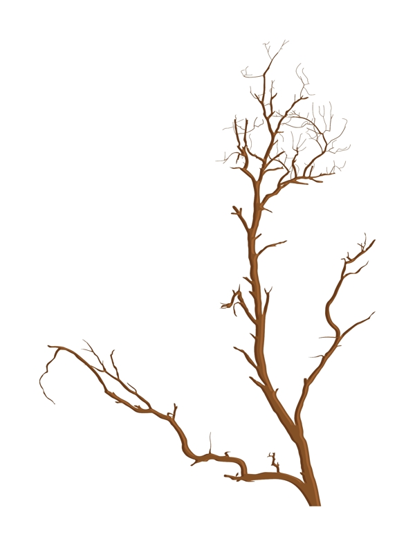 死树的树枝