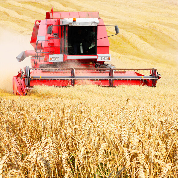 小麦收割机麦田图片