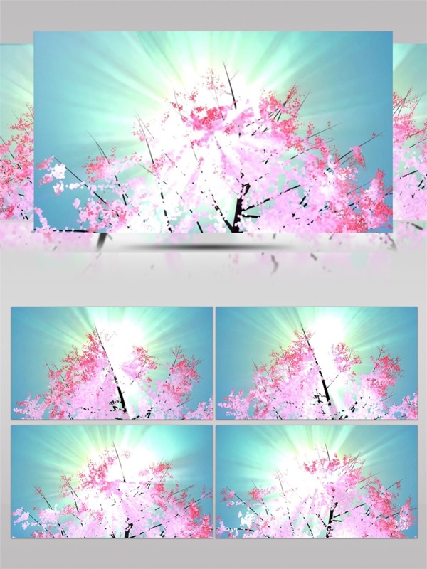粉色花朵小清新高清视频素材