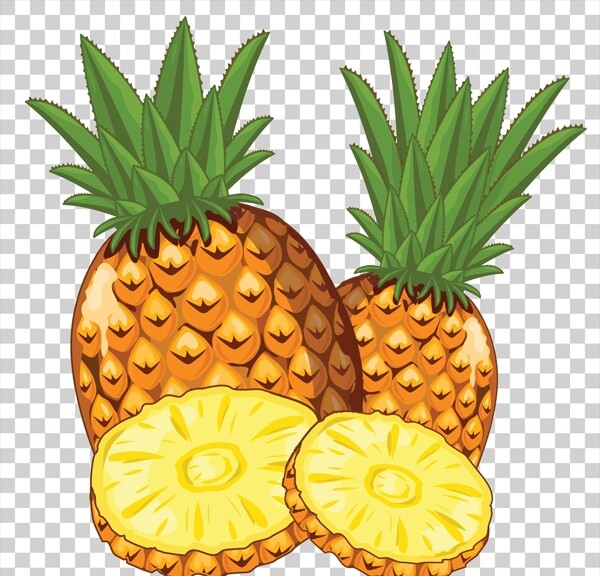 菠萝插画