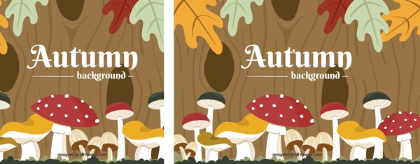 秋季蘑菇底
