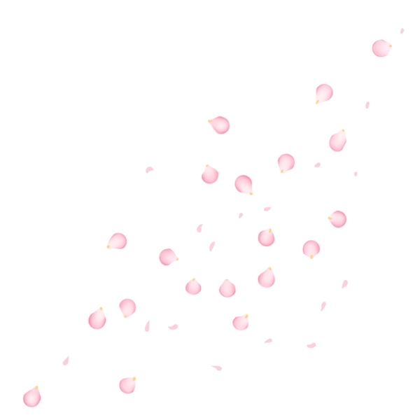 漂浮梅花花瓣粉红色