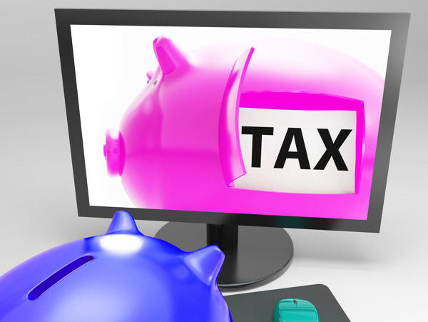 税税收缴款小猪显示