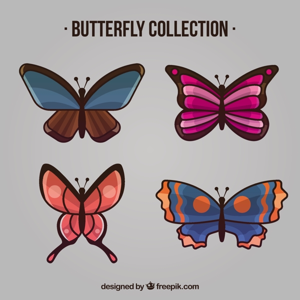 四种颜色的蝴蝶