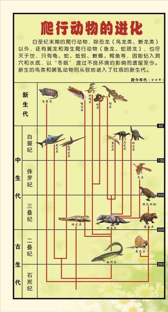 生物展板爬行动物的进化