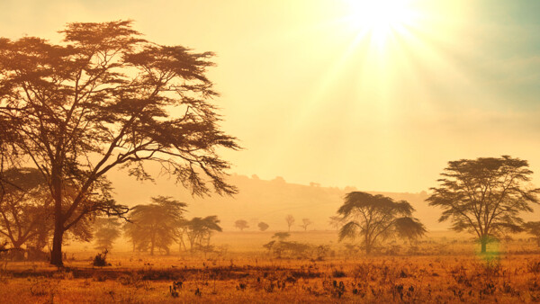 非洲的天然风光图片