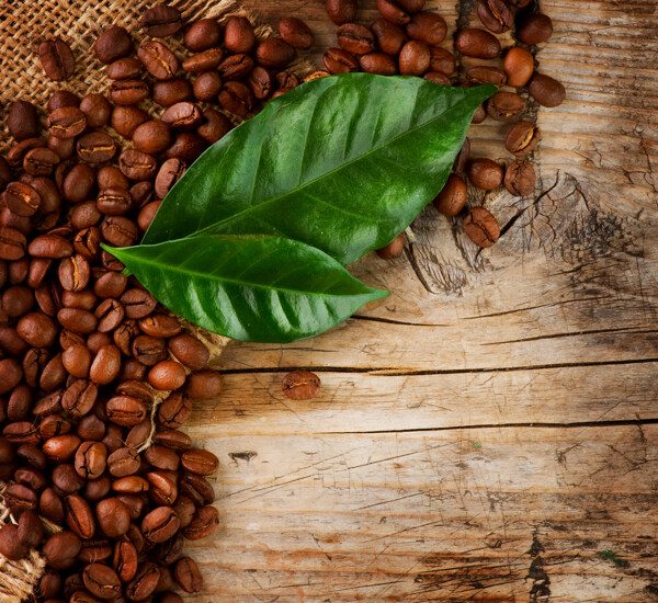 咖啡豆与绿叶图片