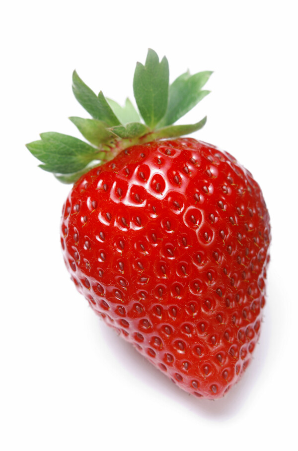 草莓高清