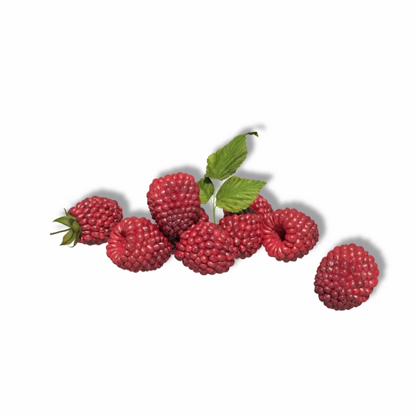 红色新鲜水果树莓