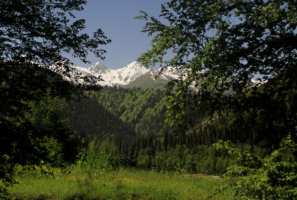 新疆夏塔古道风景