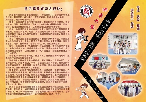 武道跆拳道画册反面图片