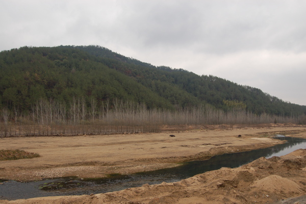 冬天的河道图片