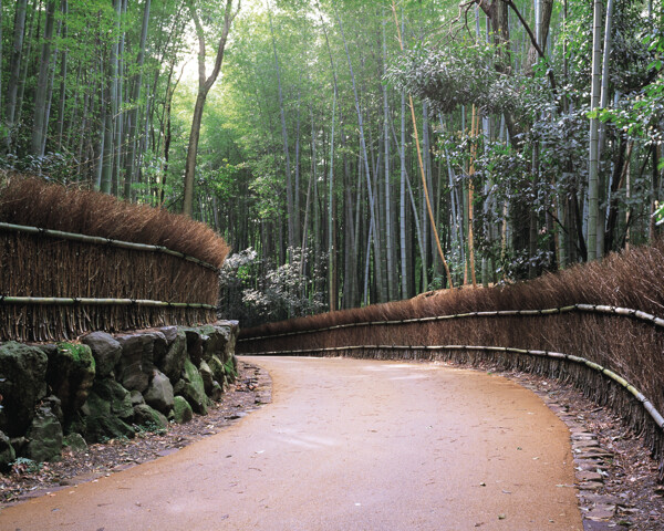 道路图片