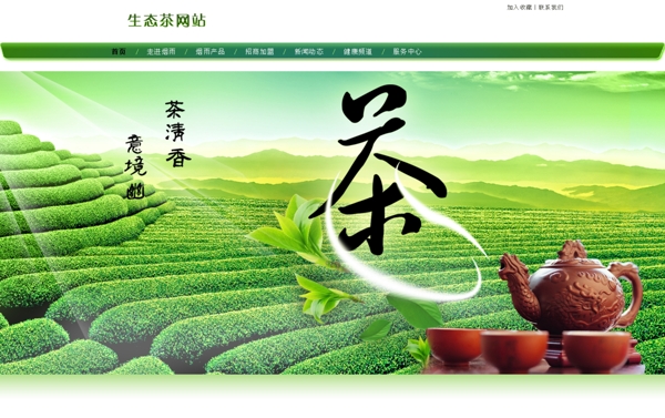 茶网站