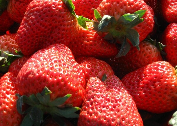 新鲜大草莓图片