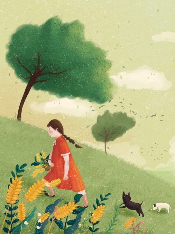 小满拿着小麦的女孩与狗背景