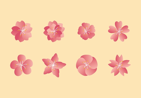 粉色绚丽立春桃花花朵