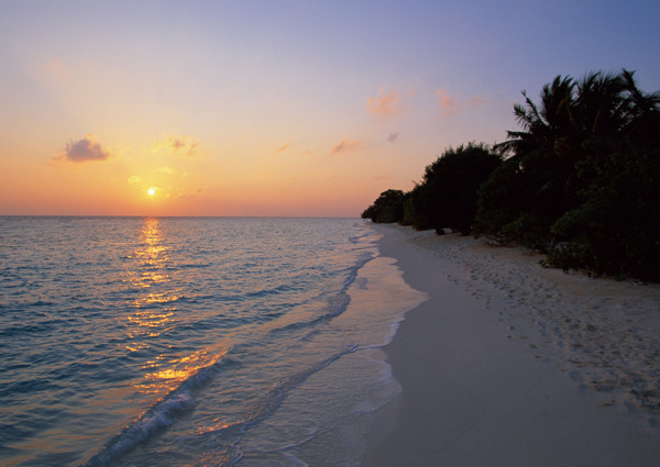 海边沙滩海滩悠闲度假树林树木天空夕阳晚霞落日傍晚