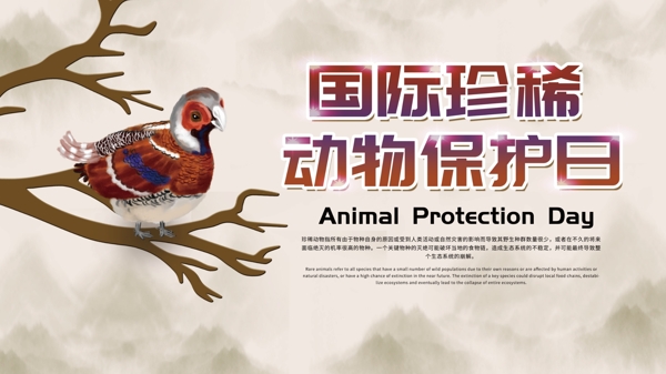 保护珍惜动物