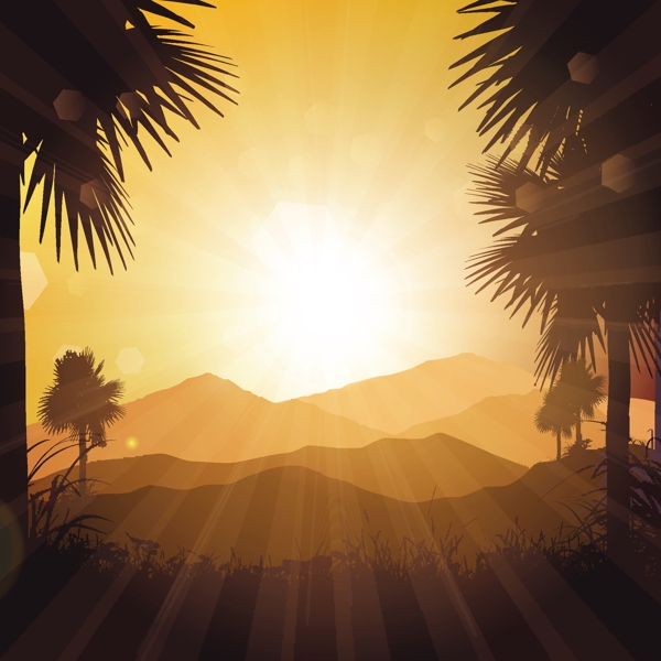 热带椰树剪影夕阳风景背景
