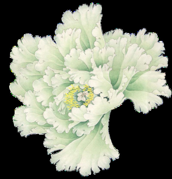 花卉工笔画透明装饰素材