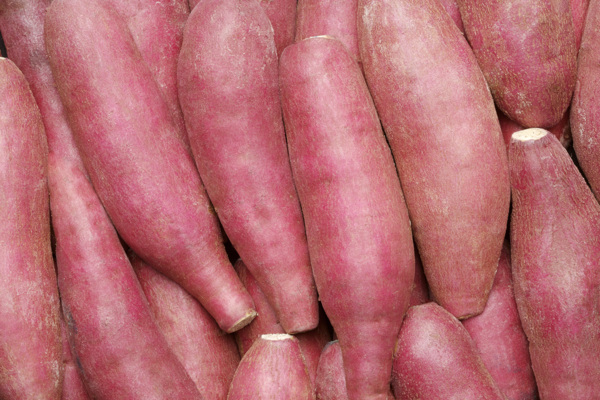 红薯山芋图片