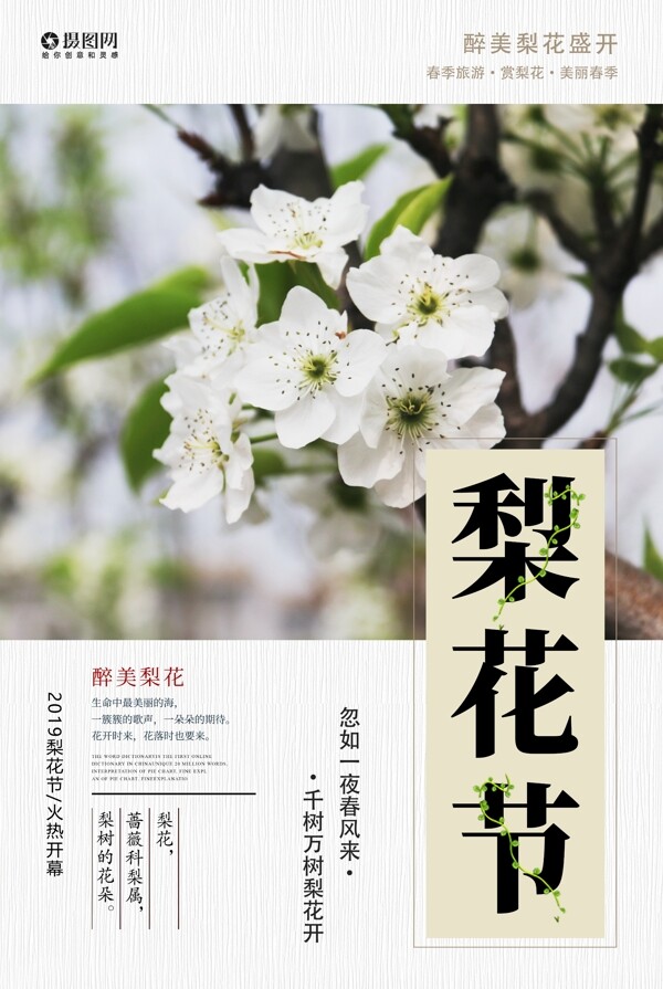 春季赏花梨花节海报