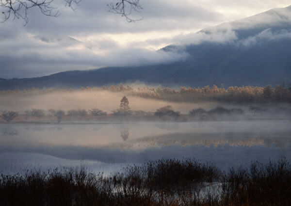 风景